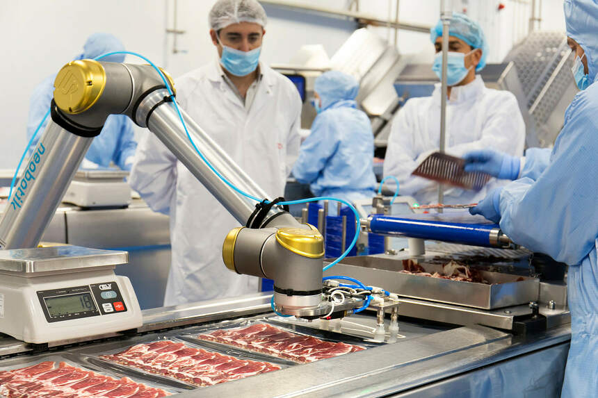 Cobots En La Industria Alimentaria: Mayor Productividad E Higiene En ...